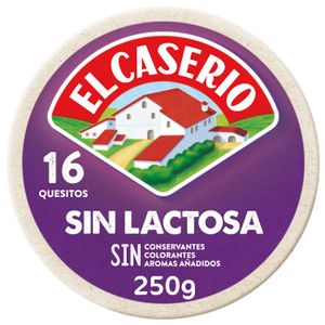 CASE 250G PORCIONES SIN LACTOSA 10C